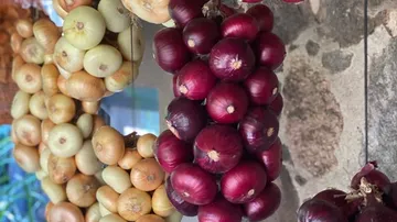 Zwiebeln hängen zusammen, während sie auf einem Markt präsentiert werden.
